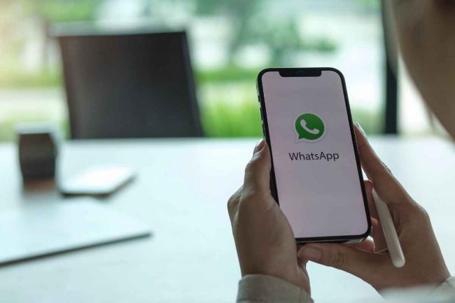 Whatsapp Business Blog